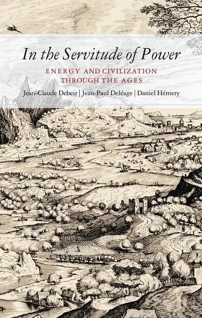 In the Servitude of Power: Energy and Civilization Through the Ages - Paperback