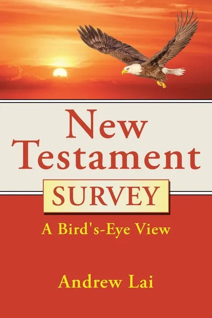 New Testament Survey: A Bird's-Eye View - Paperback