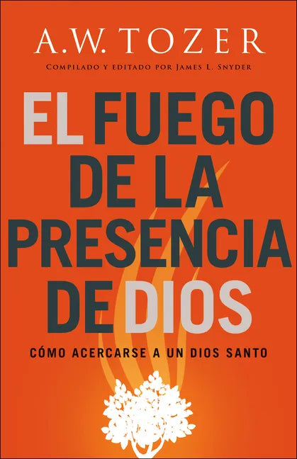 El fuego de la presencia de Dios - Paperback
