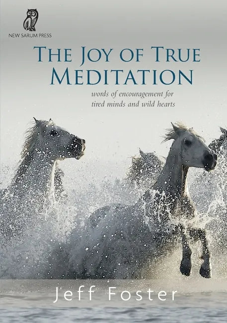 The joy of True Meditation: Words of Encouragement for Tired Minds and Wild Hearts - Paperback