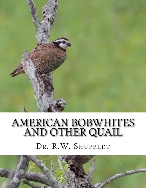 American Bobwhites and Other Quail - Paperback