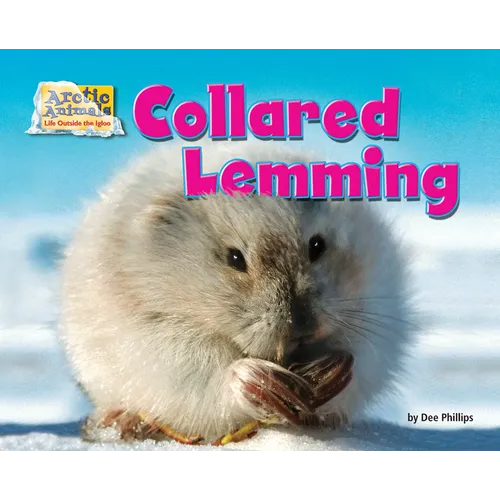 Collared Lemming - Paperback
