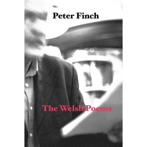 The Welsh Poems - Paperback