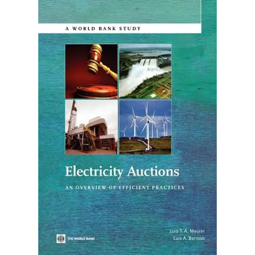 Electricity Auctions: An Overview of Efficient Practices