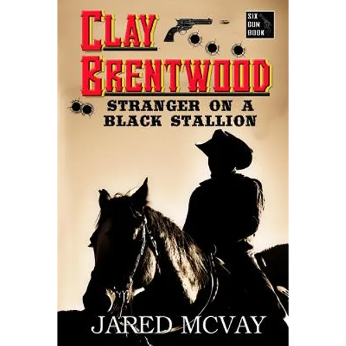 Stranger on a Black Stallion - Paperback
