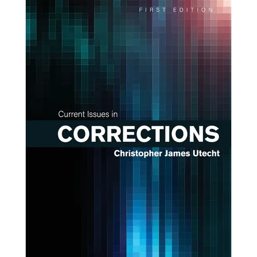 Current Issues in Corrections - Paperback
