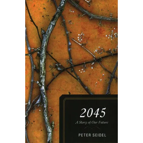2045: A Story of Our Future - Paperback