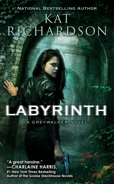 Labyrinth - Paperback