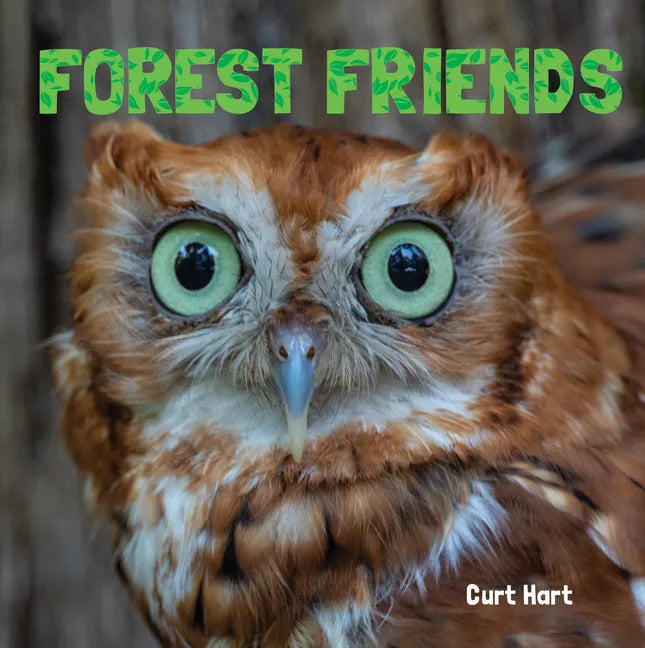 Forest Friends - Paperback