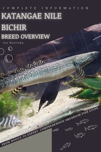 Katangae Nile Bichir: From Novice to Expert. Comprehensive Aquarium Fish Guide - Paperback