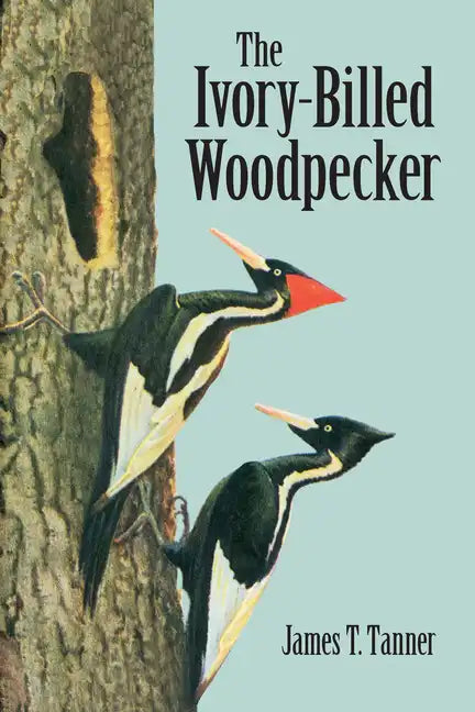 The Ivory-Billed Woodpecker - Paperback