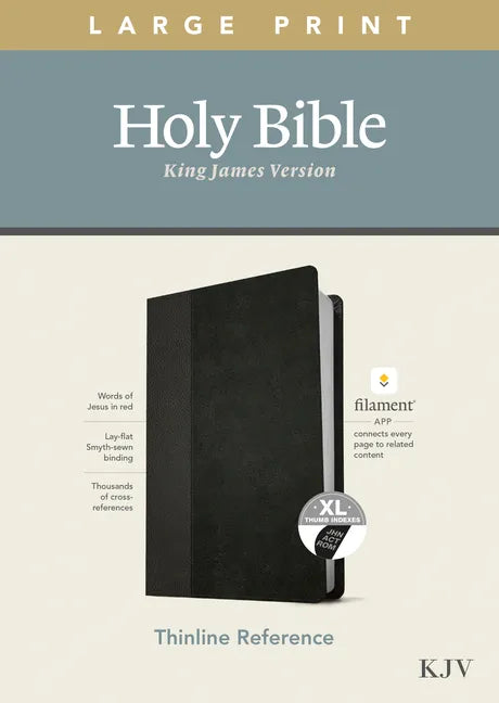 KJV Large Print Thinline Reference Bible, Filament Enabled Edition (Red Letter, Leatherlike, Black/Onyx, Indexed) - Imitation Leather