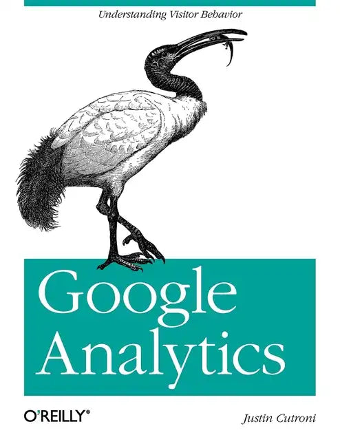 Google Analytics: Understanding Visitor Behavior - Paperback