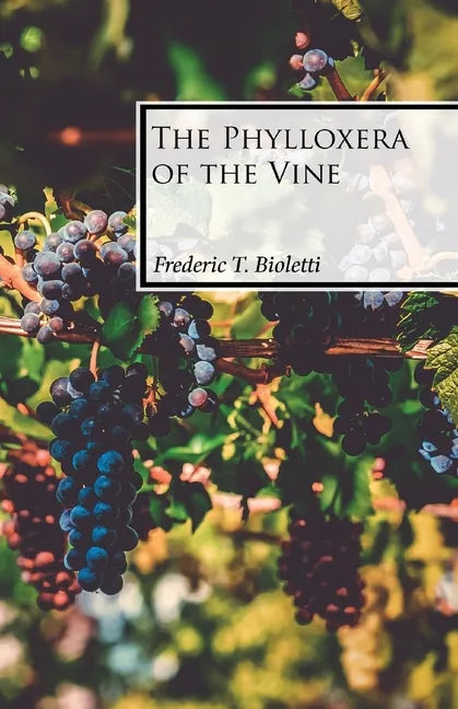 The Phylloxera of the Vine - Paperback