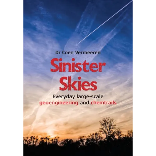 Sinister Skies - Paperback