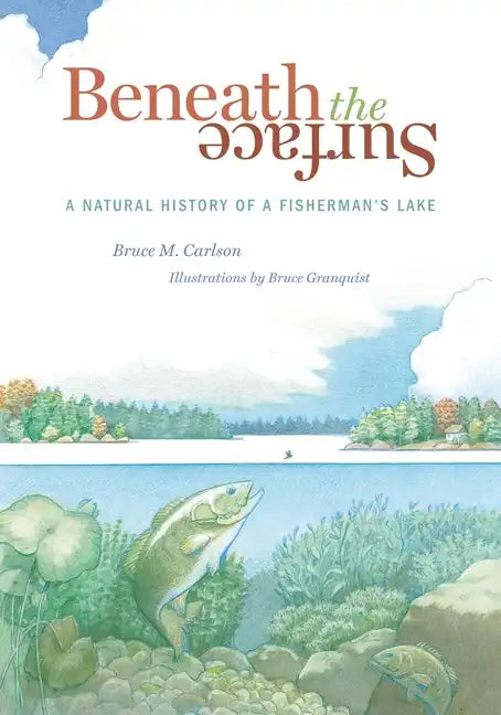 Beneath the Surface: A Natural History of a Fisherman's Lake - Paperback