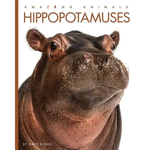 Hippopotamuses - Paperback