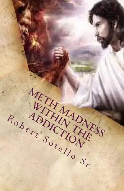 METH Madness Within The Addiction - Paperback