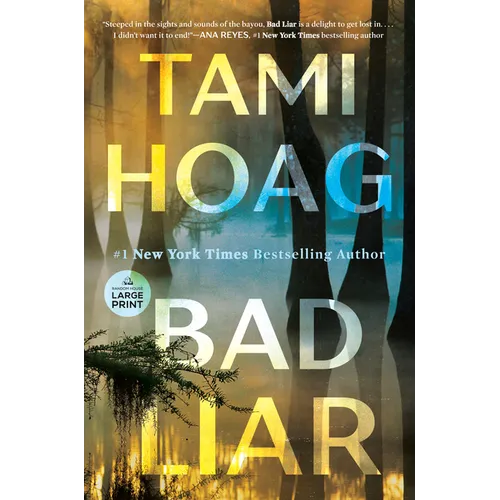 Bad Liar - Paperback