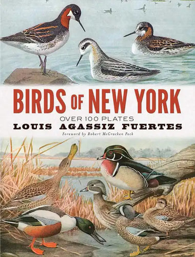 Birds of New York: Over 100 Plates - Paperback
