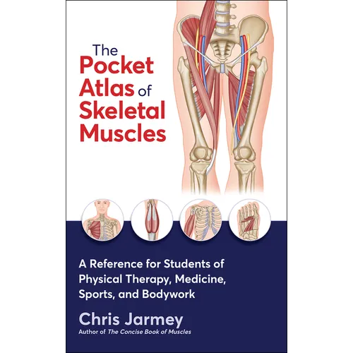 The Pocket Atlas of Skeletal Muscles: A Reference for Students of Physical Therapy, Medicine, Sports, and Bodywork - Paperback