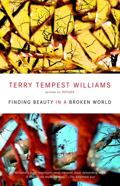 Finding Beauty in a Broken World - Paperback