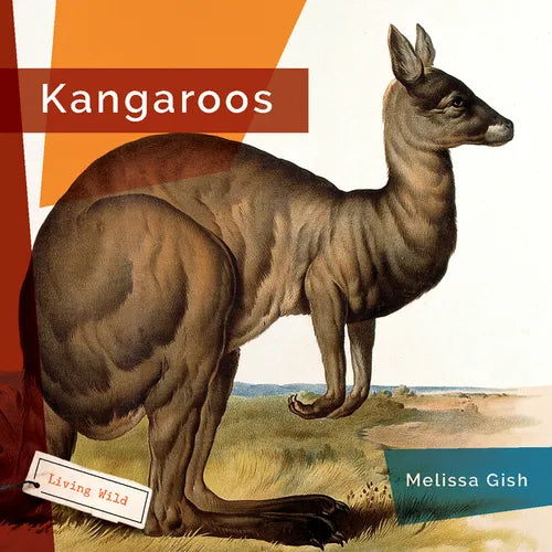Kangaroos - Library Binding