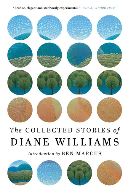 The Collected Stories of Diane Williams - Paperback