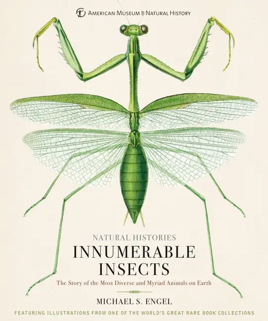 Innumerable Insects: The Story of the Most Diverse and Myriad Animals on Earth - Hardcover