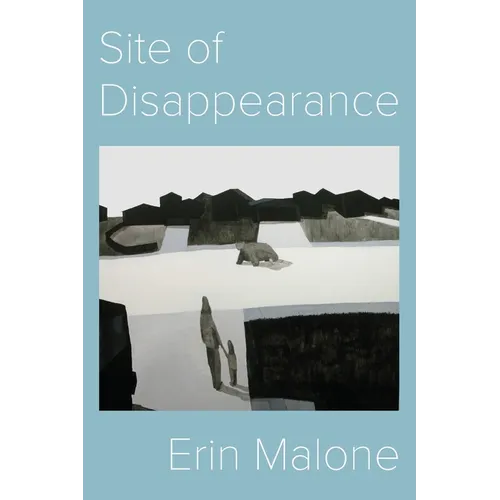 Site of Disappearance - Paperback