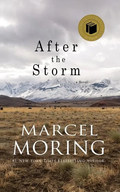 After the Storm - Paperback