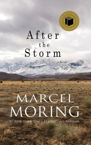 After the Storm - Paperback