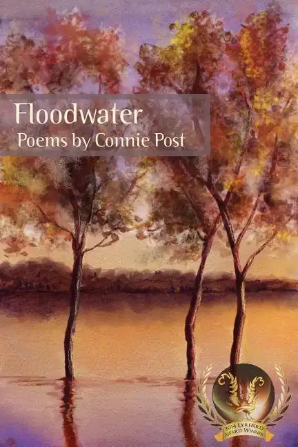 Floodwater - Paperback