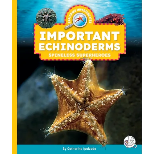 Important Echinoderms: Spineless Superheroes - Library Binding