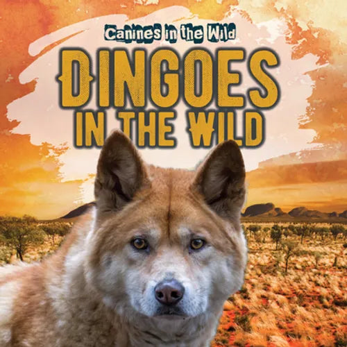 Dingoes in the Wild - Library Binding