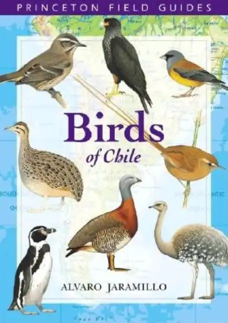 Birds of Chile - Paperback