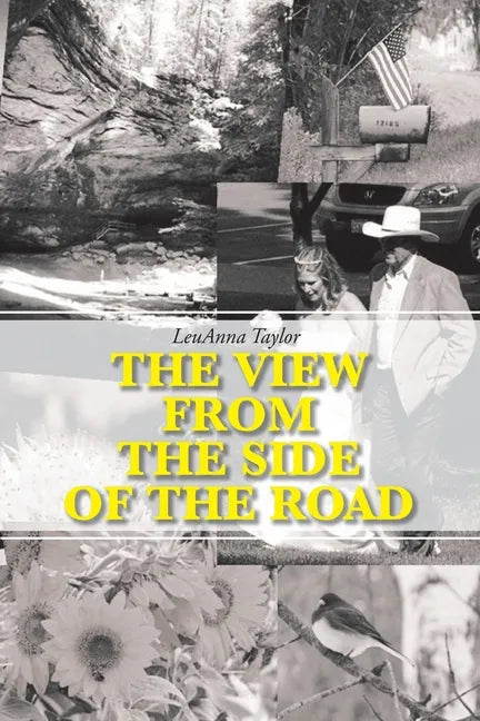 The View from the Side of the Road - Paperback