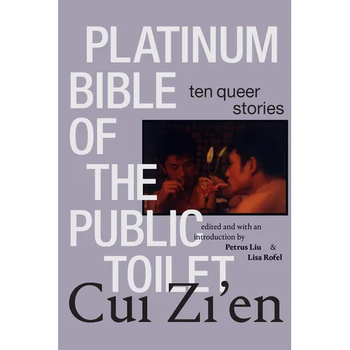 Platinum Bible of the Public Toilet: Ten Queer Stories - Paperback