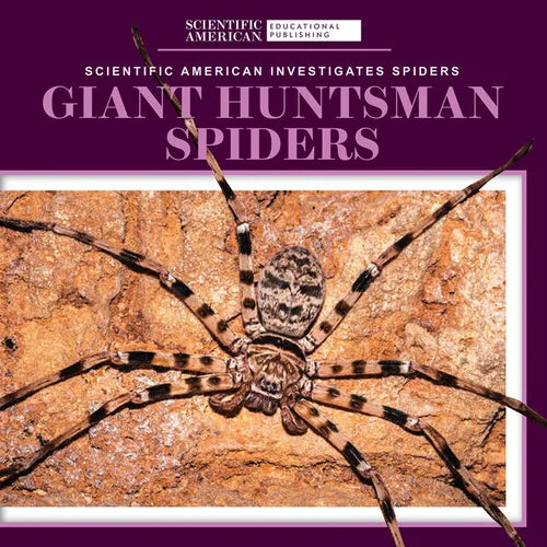 Giant Huntsman Spiders - Library Binding