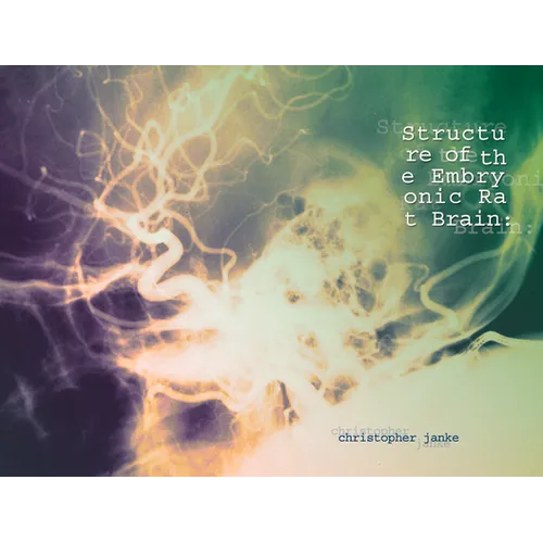 Structure of the Embryonic Rat Brain - Paperback