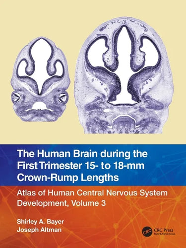 The Human Brain During the First Trimester 15- To 18-MM Crown-Rump Lengths: Atlas of Human Central Nervous System Development, Volume 3 - Paperback
