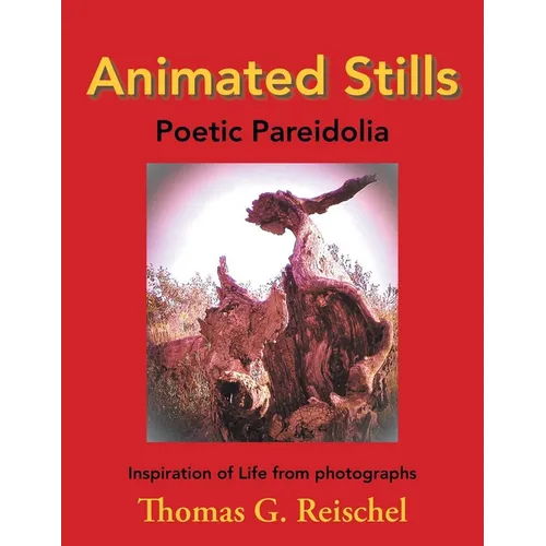 Animated Stills: Poetic Pareidolia - Paperback