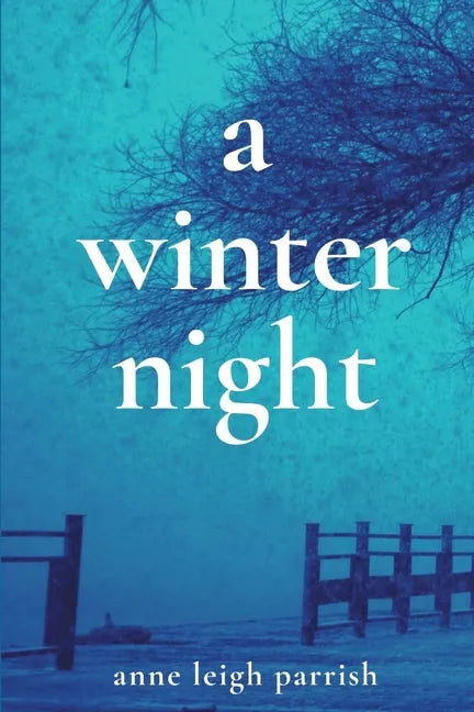 A Winter Night - Paperback