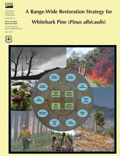 A Range-Wide Restoration Strategy for Whitebark Pine (Pinus Albicaulis) - Paperback