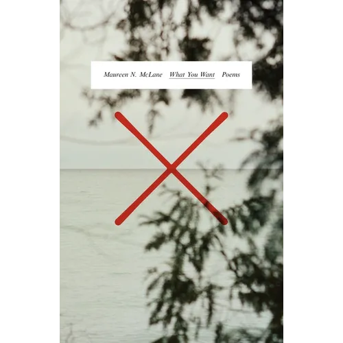 What You Want: Poems - Paperback