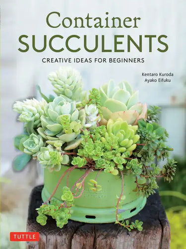 Container Succulents: Creative Ideas for Beginners - Paperback