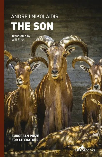 The Son - Paperback