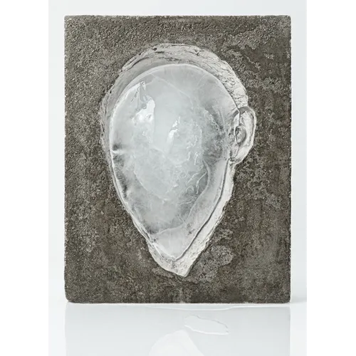 Tania Pérez Córdova: Generalization - Hardcover