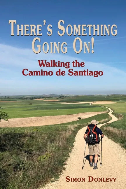 There's Something Going On!: Walking the Camino de Santiago - Paperback