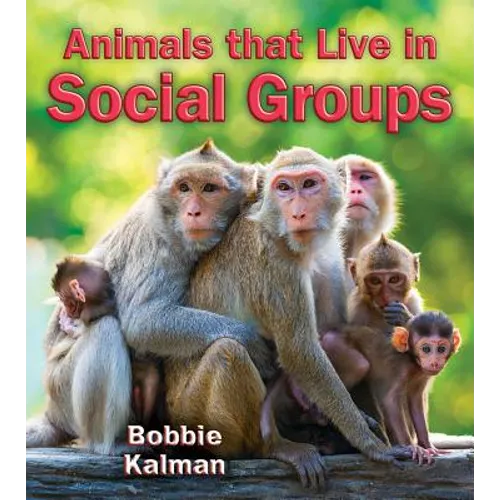 Animals That Live in Social Groups - Paperback